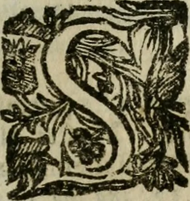 An illustration from Notizie di nobiltà, 1672, leaf 300