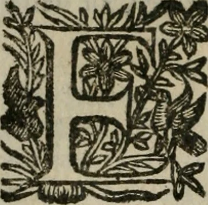 An illustration from Notizie di nobiltà, 1672, leaf 303