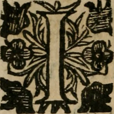 An illustration from Notizie di nobiltà, 1672, leaf 311