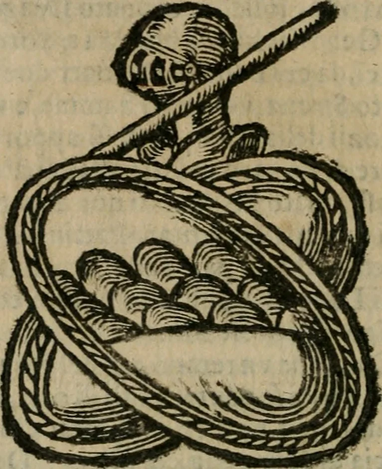 An illustration from Notizie di nobiltà, 1672, leaf 383