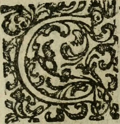 An illustration from Notizie di nobiltà, 1672, leaf 408