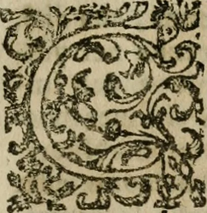 An illustration from Notizie di nobiltà, 1672, leaf 528
