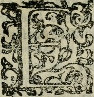 An illustration from Notizie di nobiltà, 1672, leaf 62