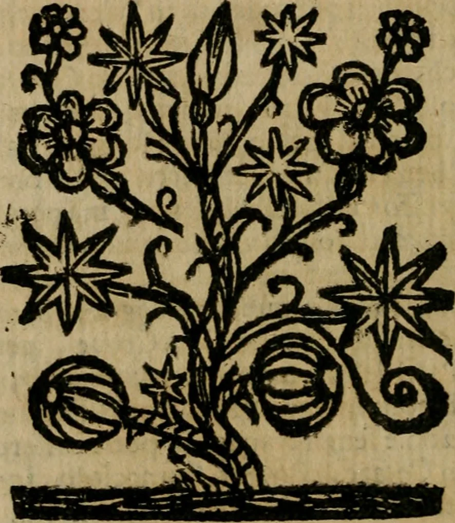 An illustration from Notizie di nobiltà, 1672, leaf 73