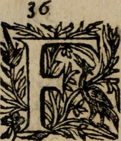 An illustration from Notizie di nobiltà, 1672, leaf 75