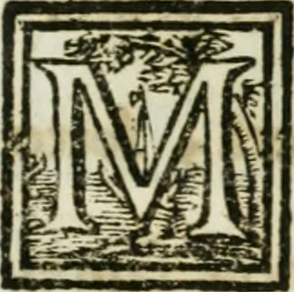 An illustration from Notizie istoriche de' pittori, scultori, ed architetti cremonesi, 1774, leaf 250