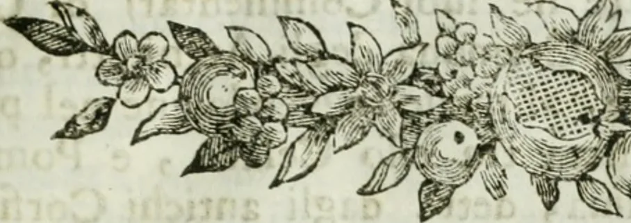 An illustration from Notizie istoriche de' pittori, scultori, ed architetti cremonesi, 1774, leaf 26