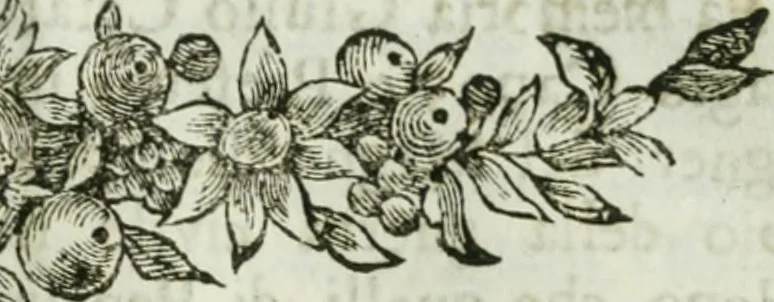 An illustration from Notizie istoriche de' pittori, scultori, ed architetti cremonesi, 1774, leaf 26