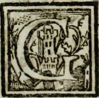 An illustration from Notizie istoriche de' pittori, scultori, ed architetti cremonesi, 1774, leaf 267