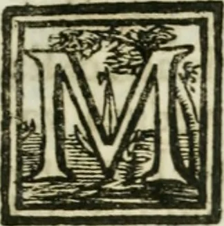 An illustration from Notizie istoriche de' pittori, scultori, ed architetti cremonesi, 1774, leaf 336
