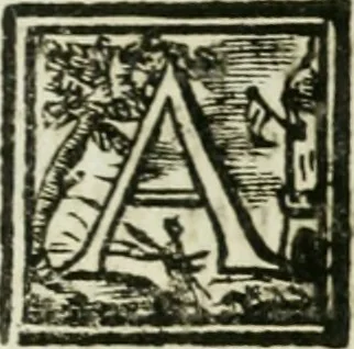 An illustration from Notizie istoriche de' pittori, scultori, ed architetti cremonesi, 1774, leaf 362