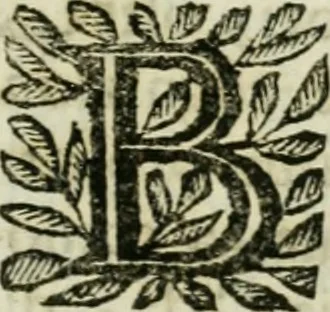 An illustration from Notizie istoriche de' pittori, scultori, ed architetti cremonesi, 1774, leaf 388