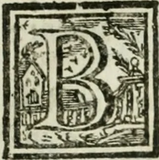 An illustration from Notizie istoriche de' pittori, scultori, ed architetti cremonesi, 1774, leaf 460