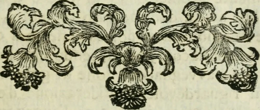 An illustration from Notizie istoriche de' pittori, scultori, ed architetti cremonesi, 1774, leaf 490