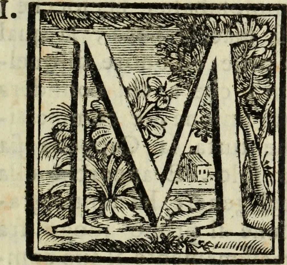An illustration from Notizie istoriche delle chiese fiorentine, divise ne' suoi quartieri, 1754, leaf 14