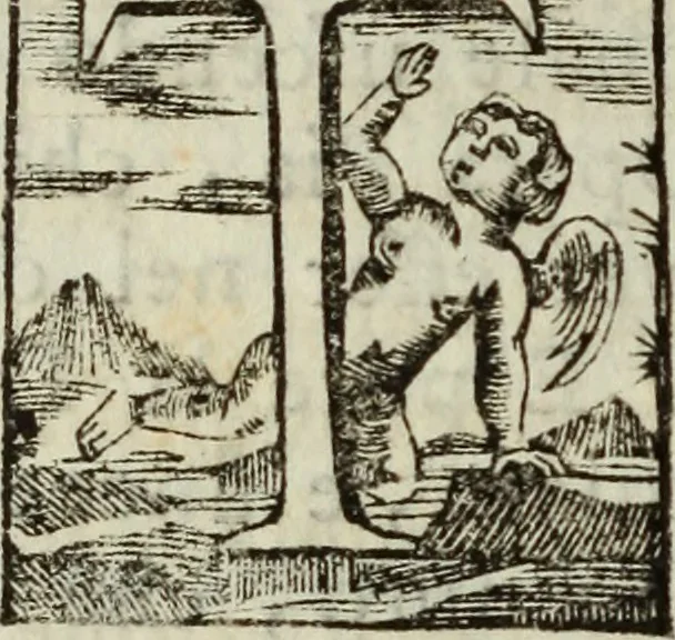 An illustration from Notizie istoriche delle chiese fiorentine, divise ne' suoi quartieri, 1754, leaf 249