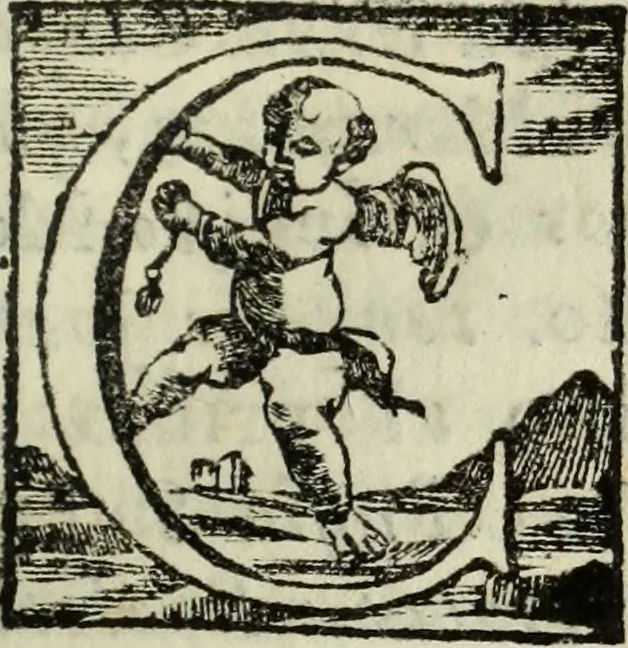 An illustration from Notizie istoriche delle chiese fiorentine, divise ne' suoi quartieri, 1754, leaf 256