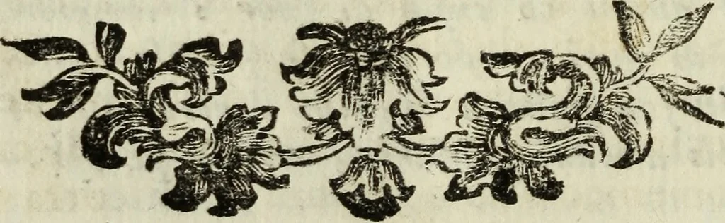 An illustration from Notizie istoriche delle chiese fiorentine, divise ne' suoi quartieri, 1754, leaf 283