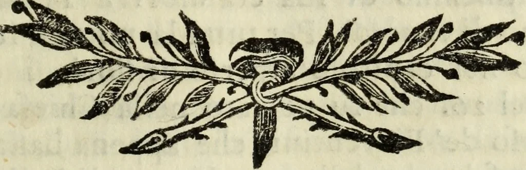 An illustration from Notizie istoriche delle chiese fiorentine, divise ne' suoi quartieri, 1754, leaf 340
