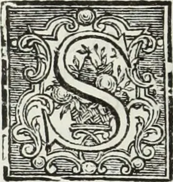 An illustration from Notizie storiche delle chiese e monasteri di Venezia, e di Torcello : tratte dalle chiese veneziane, e torcellane, 1758, leaf 231