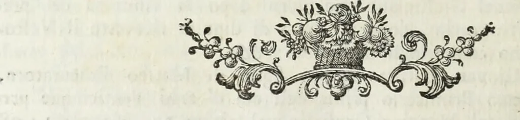 An illustration from Notizie storiche delle chiese e monasteri di Venezia, e di Torcello : tratte dalle chiese veneziane, e torcellane, 1758, leaf 265