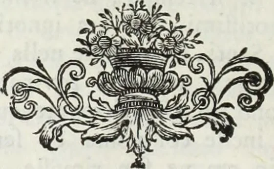 An illustration from Notizie storiche delle chiese e monasteri di Venezia, e di Torcello : tratte dalle chiese veneziane, e torcellane, 1758, leaf 279