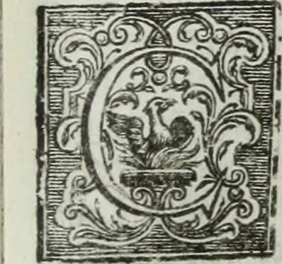 An illustration from Notizie storiche delle chiese e monasteri di Venezia, e di Torcello : tratte dalle chiese veneziane, e torcellane, 1758, leaf 412