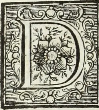 An illustration from Notizie storiche delle chiese e monasteri di Venezia, e di Torcello : tratte dalle chiese veneziane, e torcellane, 1758, leaf 449