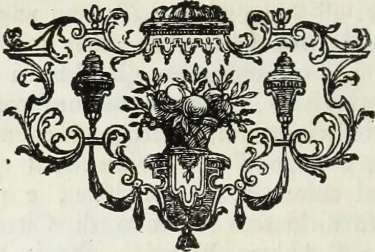 An illustration from Notizie storiche delle chiese e monasteri di Venezia, e di Torcello : tratte dalle chiese veneziane, e torcellane, 1758, leaf 509
