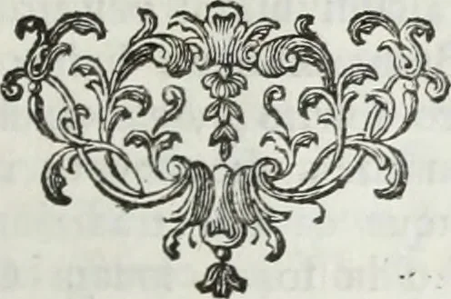 An illustration from Notizie storiche delle chiese e monasteri di Venezia, e di Torcello : tratte dalle chiese veneziane, e torcellane, 1758, leaf 586