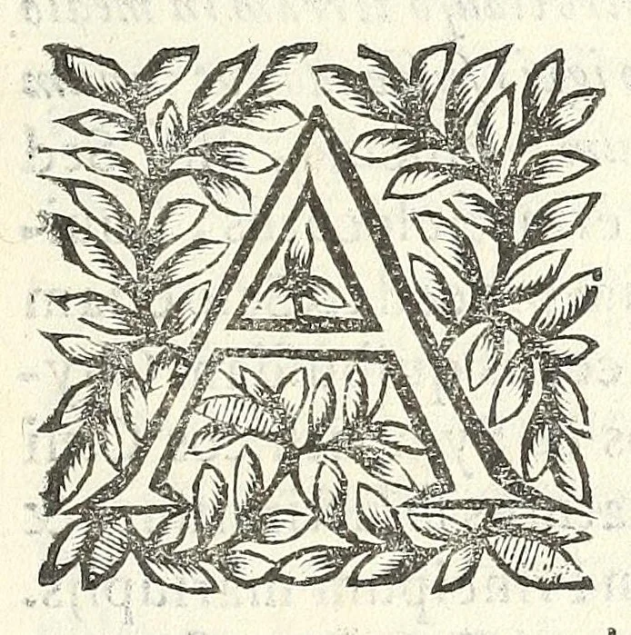 An illustration from Noua et amaenior de admirando fontium genio (ex abditas naturae claustris, in orbis lucem emanante) philosophia : perenne fluere iussa, 1659, leaf 109