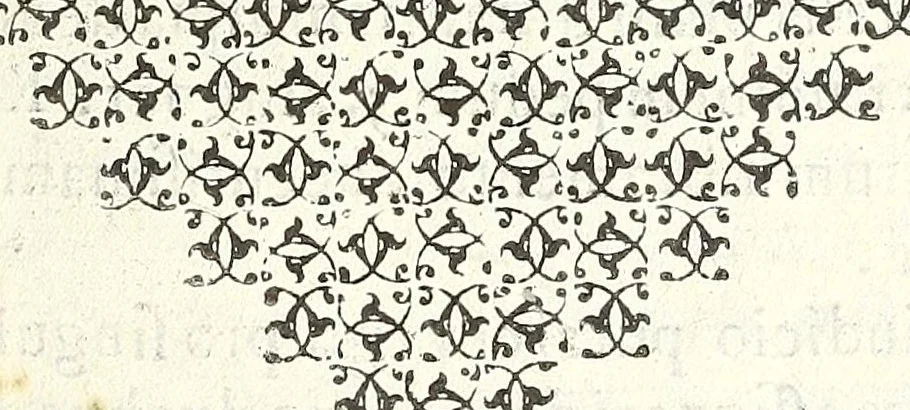 An illustration from Noua et amaenior de admirando fontium genio (ex abditas naturae claustris, in orbis lucem emanante) philosophia : perenne fluere iussa, 1659, leaf 117
