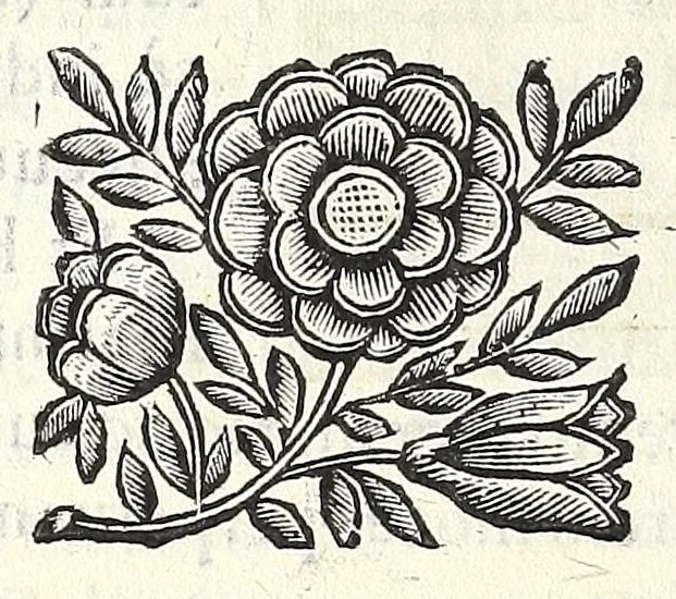 An illustration from Noua et amaenior de admirando fontium genio (ex abditas naturae claustris, in orbis lucem emanante) philosophia : perenne fluere iussa, 1659, leaf 142