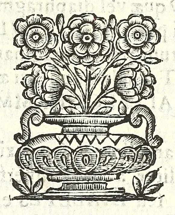 An illustration from Noua et amaenior de admirando fontium genio (ex abditas naturae claustris, in orbis lucem emanante) philosophia : perenne fluere iussa, 1659, leaf 23