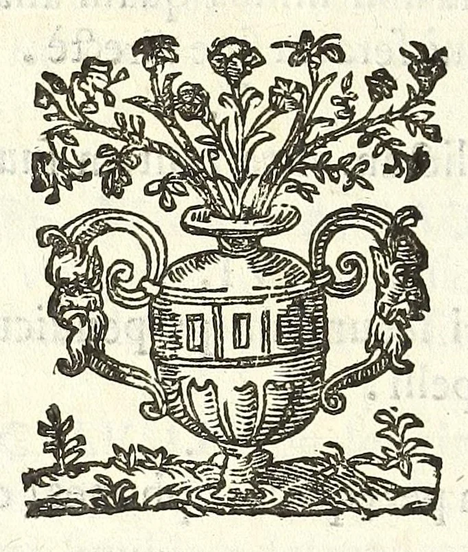 An illustration from Noua et amaenior de admirando fontium genio (ex abditas naturae claustris, in orbis lucem emanante) philosophia : perenne fluere iussa, 1659, leaf 28
