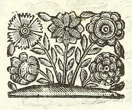An illustration from Noua et amaenior de admirando fontium genio (ex abditas naturae claustris, in orbis lucem emanante) philosophia : perenne fluere iussa, 1659, leaf 29
