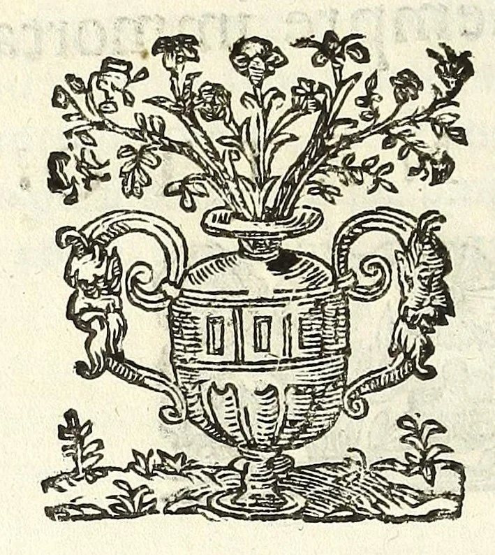 An illustration from Noua et amaenior de admirando fontium genio (ex abditas naturae claustris, in orbis lucem emanante) philosophia : perenne fluere iussa, 1659, leaf 30