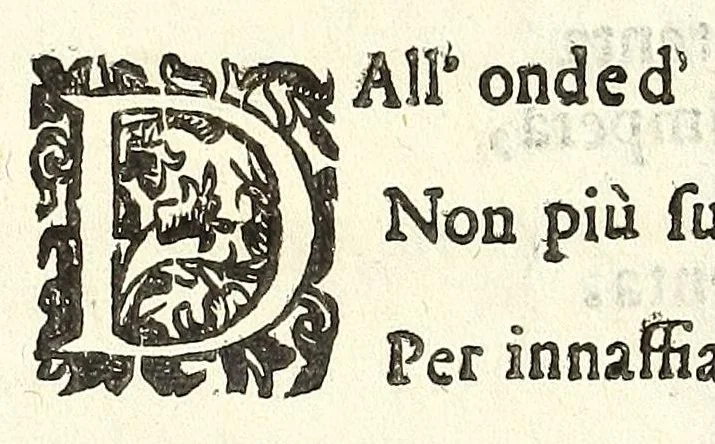An illustration from Noua et amaenior de admirando fontium genio (ex abditas naturae claustris, in orbis lucem emanante) philosophia : perenne fluere iussa, 1659, leaf 30