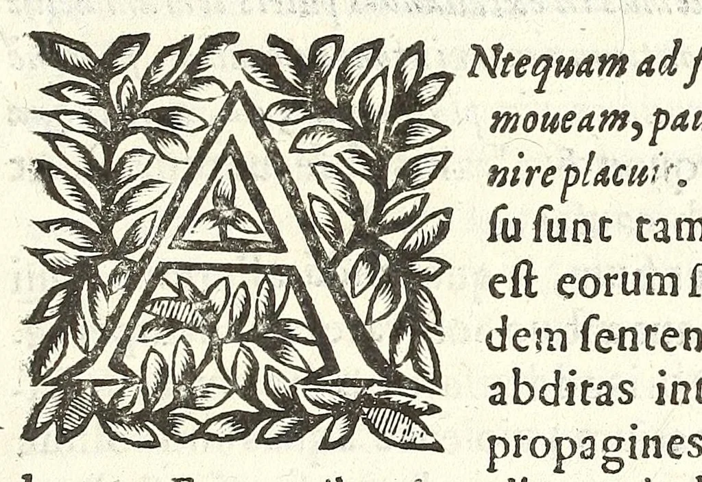 An illustration from Noua et amaenior de admirando fontium genio (ex abditas naturae claustris, in orbis lucem emanante) philosophia : perenne fluere iussa, 1659, leaf 31