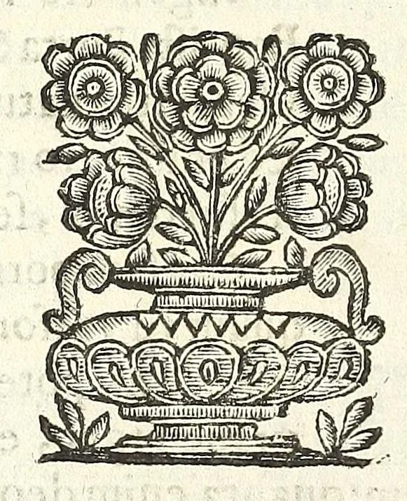 An illustration from Noua et amaenior de admirando fontium genio (ex abditas naturae claustris, in orbis lucem emanante) philosophia : perenne fluere iussa, 1659, leaf 72