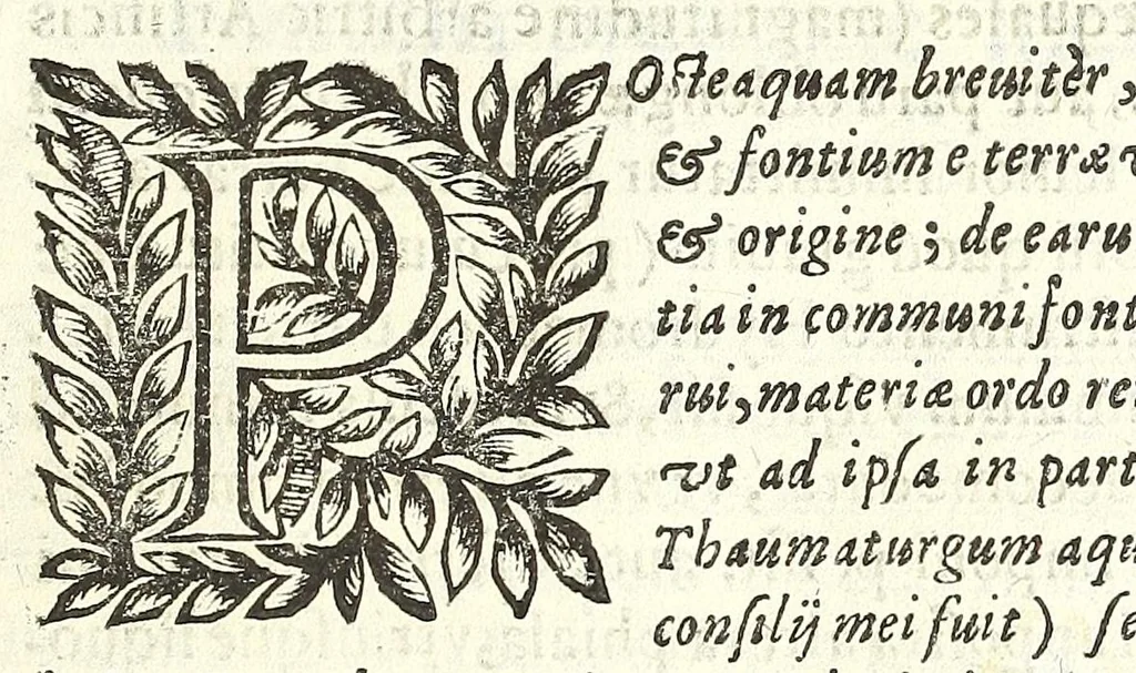 An illustration from Noua et amaenior de admirando fontium genio (ex abditas naturae claustris, in orbis lucem emanante) philosophia : perenne fluere iussa, 1659, leaf 73