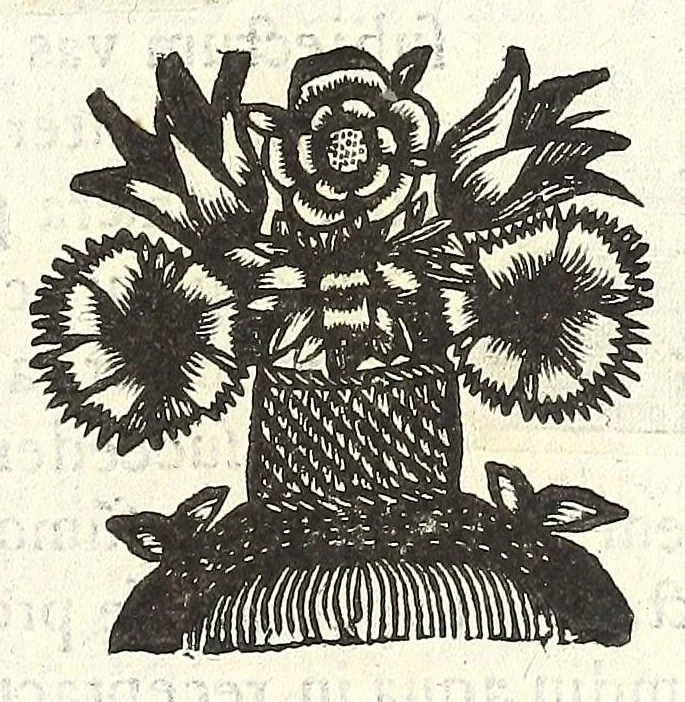 An illustration from Noua et amaenior de admirando fontium genio (ex abditas naturae claustris, in orbis lucem emanante) philosophia : perenne fluere iussa, 1659, leaf 79
