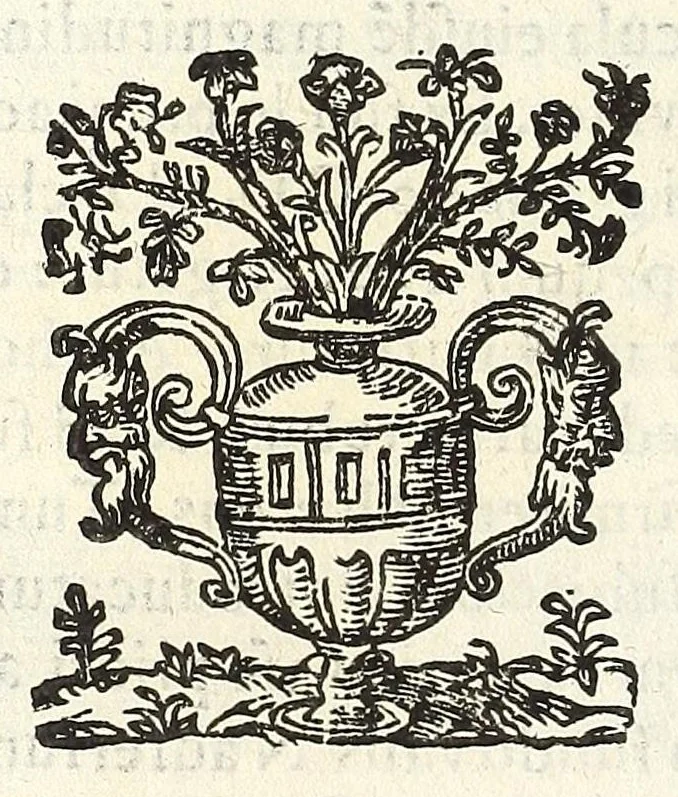 An illustration from Noua et amaenior de admirando fontium genio (ex abditas naturae claustris, in orbis lucem emanante) philosophia : perenne fluere iussa, 1659, leaf 86