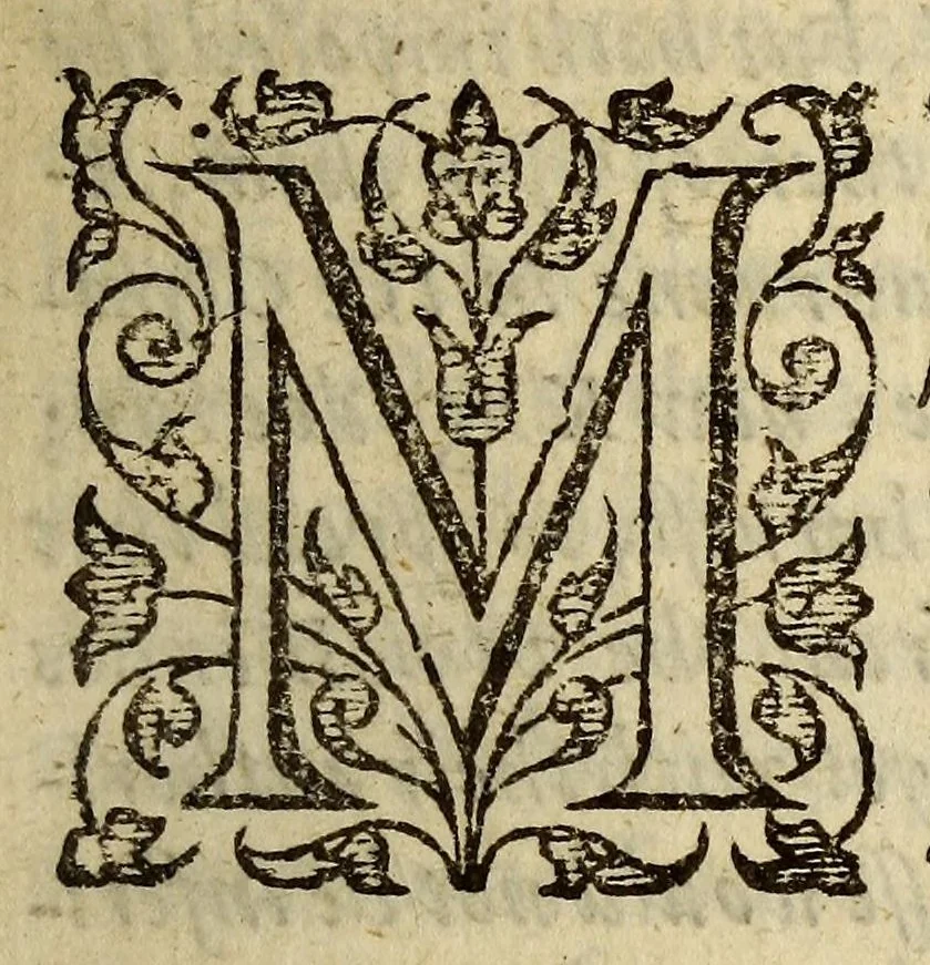 An illustration from Noua Francia : or the description of that part of Neuu France, which is one continent with Virginia. : described in the three late voyages and plantation made by Monsieur de Monts, Monsieur du Pont-Graué, and Monsieur de Poutrincourt, into the countries called by the French men La Cadie, lying to the southwest of Cape Breton. : Together with an excellent seuerall treatie of all the commodities of the said countries, and maners of the naturall inhabitants of the same. Translated out of French into English by P.E, 1609, leaf 13