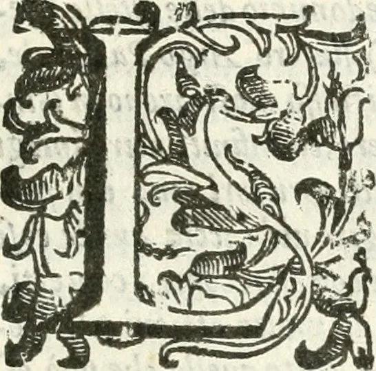 An illustration from Noua iconologia di Cesare Ripa perugino, caualier de SS. Mauritio & Lazzaro. Nella quale si descriuono diuerse imagini di virtù, vitij, affetti, passioni humane, arti, discipline, humori, elementi, corpi celesti, prouincie d'Italia, fiumi, tutte le parti del mondo, ed'altre infinite materie. Opera vtile ad oratori, predicatori, poeti, pittori, scultori, disegnatori, e ad'ogni studioso. Per inuentar concetti, emblemi, ed imprese, per diuisare qualsiuoglia apparato nuttiale, funerale, trionfale. Per rappresentar poemi drammatici, e per figurare co'suoi propij simboli ciò, che puo cadere in pensiero humano. Ampliata vltimamente dallo stesso auttore di trecento imagini, e arricchita di molti discorsi pieni di varia eruditione; con nuoui intagli, & con molti indici copiosi, 1618, leaf 12
