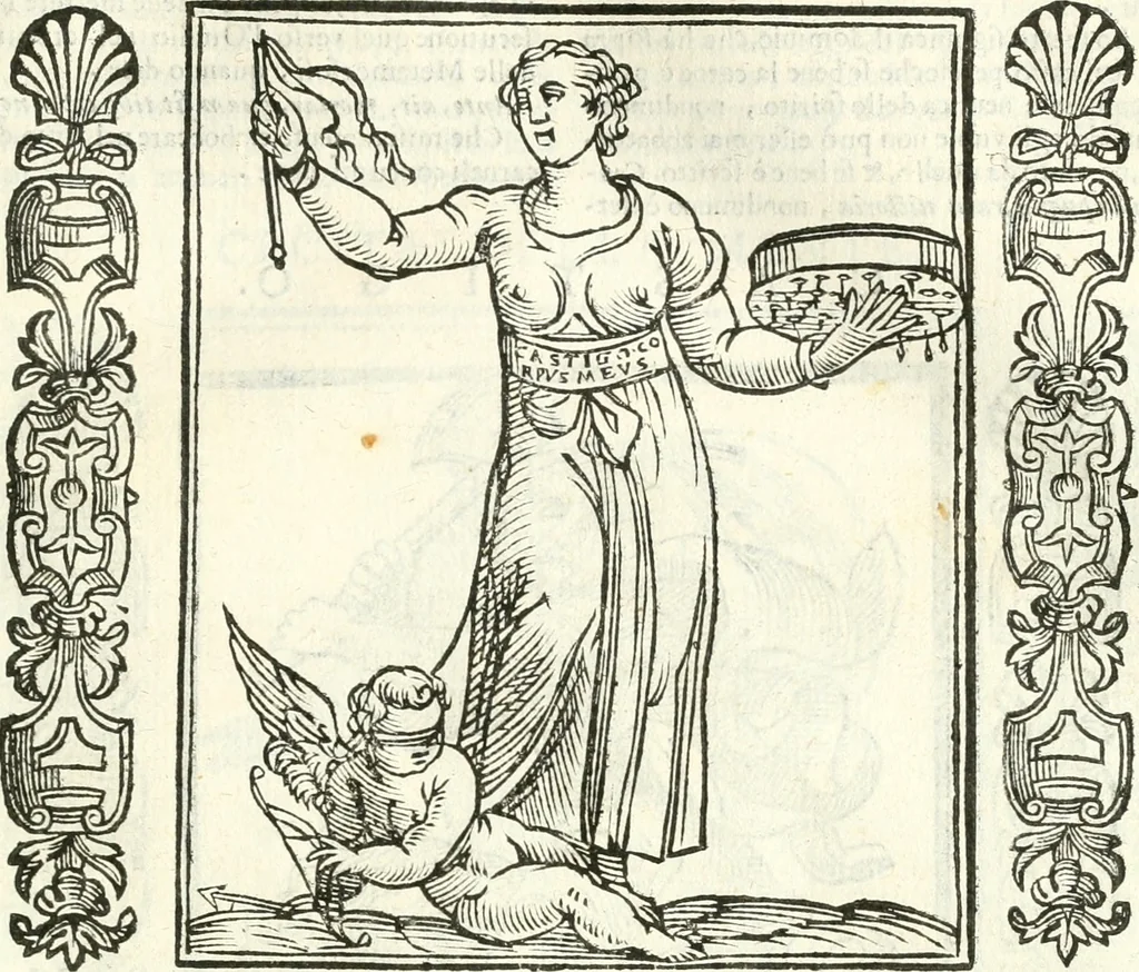 An illustration from Noua iconologia di Cesare Ripa perugino, caualier de SS. Mauritio & Lazzaro. Nella quale si descriuono diuerse imagini di virtù, vitij, affetti, passioni humane, arti, discipline, humori, elementi, corpi celesti, prouincie d'Italia, fiumi, tutte le parti del mondo, ed'altre infinite materie. Opera vtile ad oratori, predicatori, poeti, pittori, scultori, disegnatori, e ad'ogni studioso. Per inuentar concetti, emblemi, ed imprese, per diuisare qualsiuoglia apparato nuttiale, funerale, trionfale. Per rappresentar poemi drammatici, e per figurare co'suoi propij simboli ciò, che puo cadere in pensiero humano. Ampliata vltimamente dallo stesso auttore di trecento imagini, e arricchita di molti discorsi pieni di varia eruditione; con nuoui intagli, & con molti indici copiosi, 1618, leaf 128