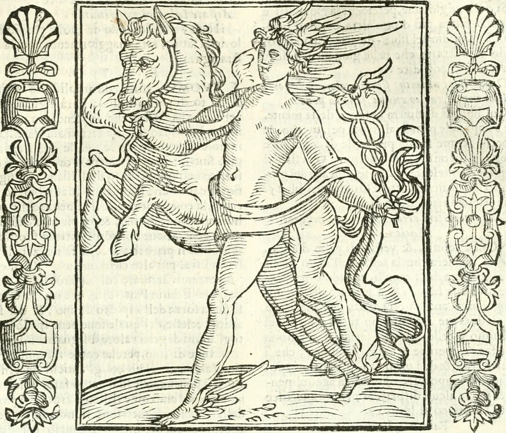 An illustration from Noua iconologia di Cesare Ripa perugino, caualier de SS. Mauritio & Lazzaro. Nella quale si descriuono diuerse imagini di virtù, vitij, affetti, passioni humane, arti, discipline, humori, elementi, corpi celesti, prouincie d'Italia, fiumi, tutte le parti del mondo, ed'altre infinite materie. Opera vtile ad oratori, predicatori, poeti, pittori, scultori, disegnatori, e ad'ogni studioso. Per inuentar concetti, emblemi, ed imprese, per diuisare qualsiuoglia apparato nuttiale, funerale, trionfale. Per rappresentar poemi drammatici, e per figurare co'suoi propij simboli ciò, che puo cadere in pensiero humano. Ampliata vltimamente dallo stesso auttore di trecento imagini, e arricchita di molti discorsi pieni di varia eruditione; con nuoui intagli, & con molti indici copiosi, 1618, leaf 224