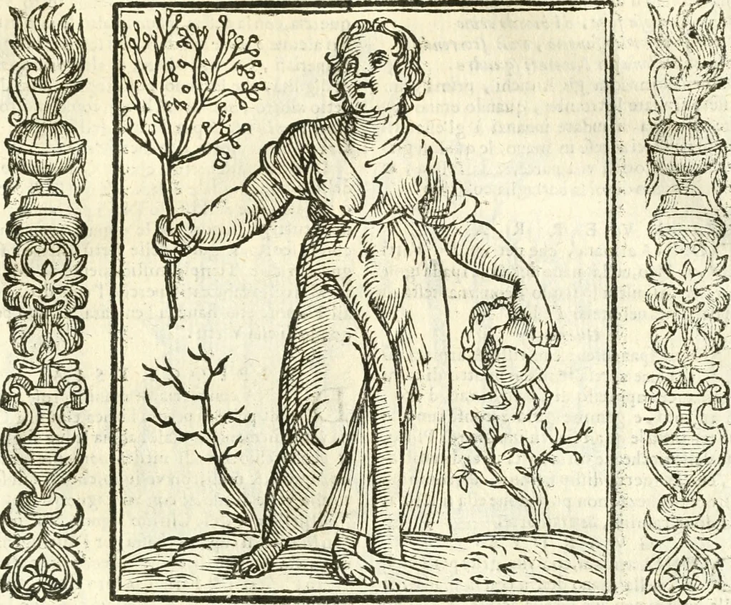 An illustration from Noua iconologia di Cesare Ripa perugino, caualier de SS. Mauritio & Lazzaro. Nella quale si descriuono diuerse imagini di virtù, vitij, affetti, passioni humane, arti, discipline, humori, elementi, corpi celesti, prouincie d'Italia, fiumi, tutte le parti del mondo, ed'altre infinite materie. Opera vtile ad oratori, predicatori, poeti, pittori, scultori, disegnatori, e ad'ogni studioso. Per inuentar concetti, emblemi, ed imprese, per diuisare qualsiuoglia apparato nuttiale, funerale, trionfale. Per rappresentar poemi drammatici, e per figurare co'suoi propij simboli ciò, che puo cadere in pensiero humano. Ampliata vltimamente dallo stesso auttore di trecento imagini, e arricchita di molti discorsi pieni di varia eruditione; con nuoui intagli, & con molti indici copiosi, 1618, leaf 282