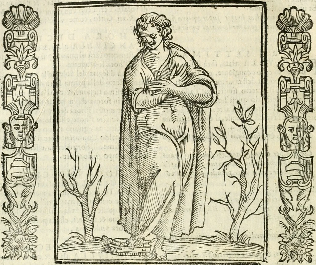 An illustration from Noua iconologia di Cesare Ripa perugino, caualier de SS. Mauritio & Lazzaro. Nella quale si descriuono diuerse imagini di virtù, vitij, affetti, passioni humane, arti, discipline, humori, elementi, corpi celesti, prouincie d'Italia, fiumi, tutte le parti del mondo, ed'altre infinite materie. Opera vtile ad oratori, predicatori, poeti, pittori, scultori, disegnatori, e ad'ogni studioso. Per inuentar concetti, emblemi, ed imprese, per diuisare qualsiuoglia apparato nuttiale, funerale, trionfale. Per rappresentar poemi drammatici, e per figurare co'suoi propij simboli ciò, che puo cadere in pensiero humano. Ampliata vltimamente dallo stesso auttore di trecento imagini, e arricchita di molti discorsi pieni di varia eruditione; con nuoui intagli, & con molti indici copiosi, 1618, leaf 293
