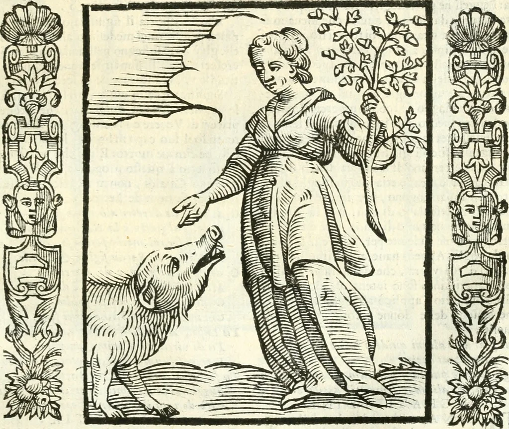 An illustration from Noua iconologia di Cesare Ripa perugino, caualier de SS. Mauritio & Lazzaro. Nella quale si descriuono diuerse imagini di virtù, vitij, affetti, passioni humane, arti, discipline, humori, elementi, corpi celesti, prouincie d'Italia, fiumi, tutte le parti del mondo, ed'altre infinite materie. Opera vtile ad oratori, predicatori, poeti, pittori, scultori, disegnatori, e ad'ogni studioso. Per inuentar concetti, emblemi, ed imprese, per diuisare qualsiuoglia apparato nuttiale, funerale, trionfale. Per rappresentar poemi drammatici, e per figurare co'suoi propij simboli ciò, che puo cadere in pensiero humano. Ampliata vltimamente dallo stesso auttore di trecento imagini, e arricchita di molti discorsi pieni di varia eruditione; con nuoui intagli, & con molti indici copiosi, 1618, leaf 310